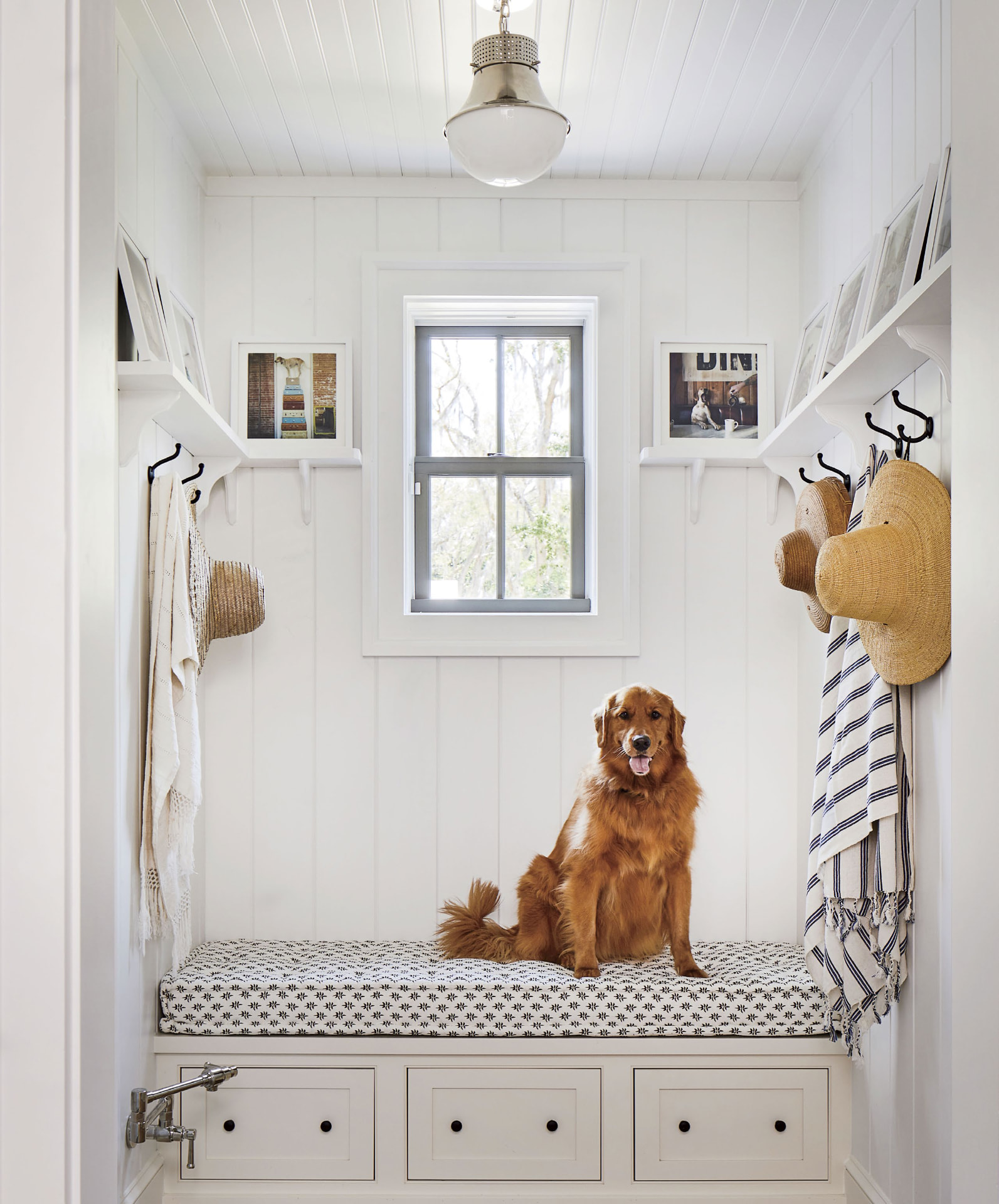 A golden retriever sitting on a built-in mudroom bench with white beadboard walls and straw hats hanging nearby